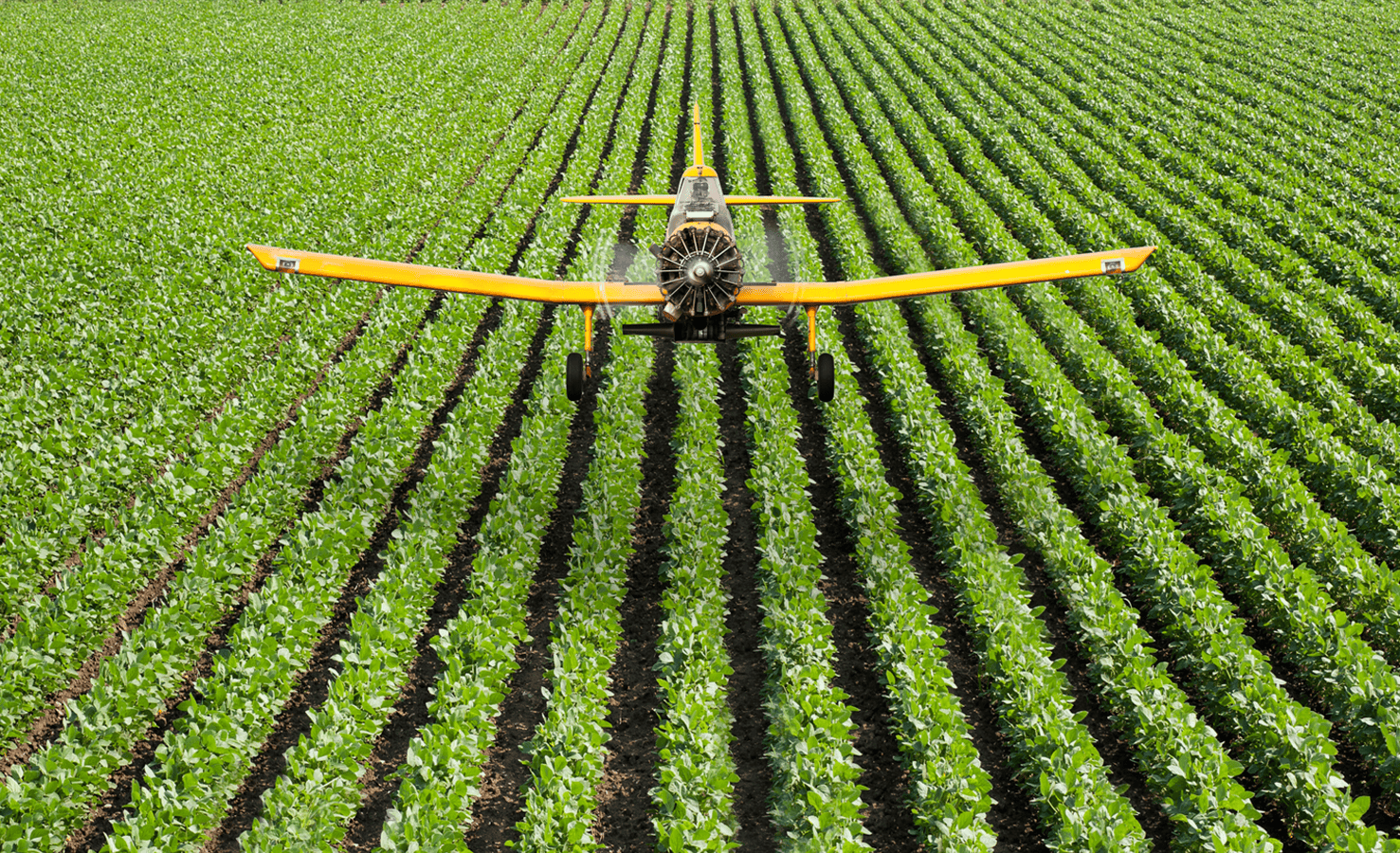 Inside Crop Protection R&D: A Competitive Benchmarking Perspective