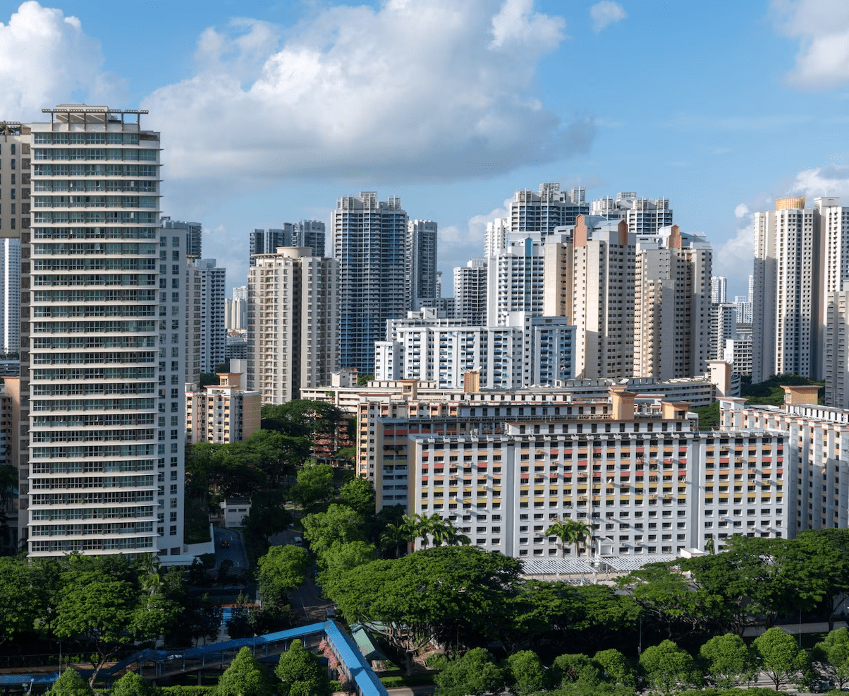 caseStudy HBG Insights